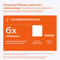 Arnika-Salbe 10%, 70 g