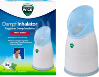 Dampf Inhalator, 1 St