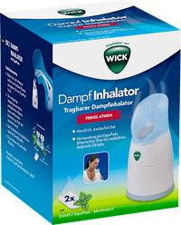 Dampf Inhalator, 1 St