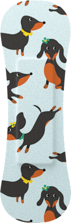 Geschenkset Pflaster Kinder Wild Stripes Cute Animals, 20 St