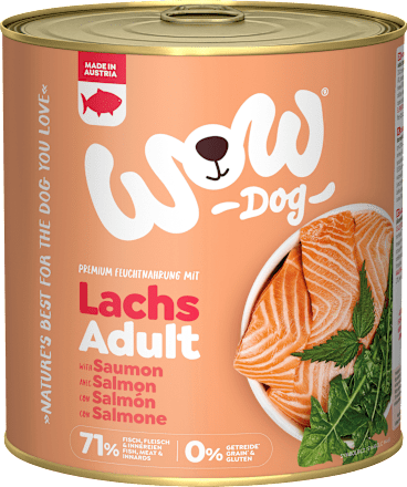 Nat hondenvoer met zalm, paardenbloem &amp; brandnetel, volwassen, 800 g